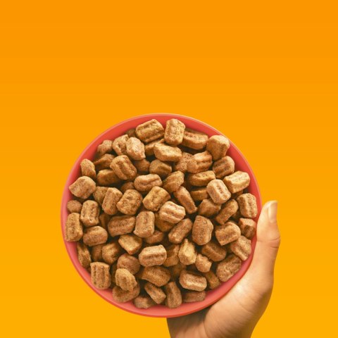 Pedigree Adult Professional Nutrition Drób Warzywa 12kg