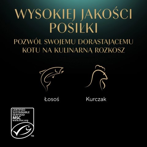 Sheba Kitten Wybór Smaków W Sosie Karma Dla Kociąt 40x85g