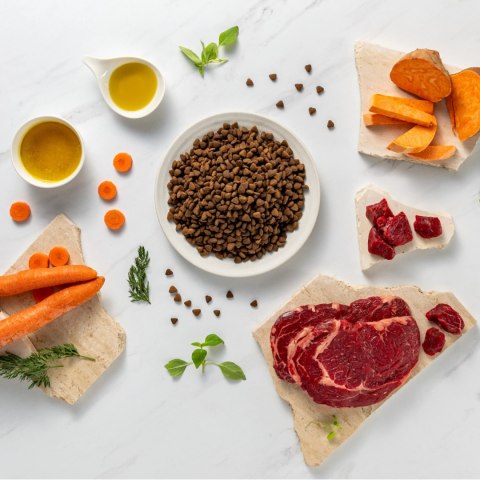 VetExpert Raw Paleo Ultra Beef Adult Medium/Large 10kg