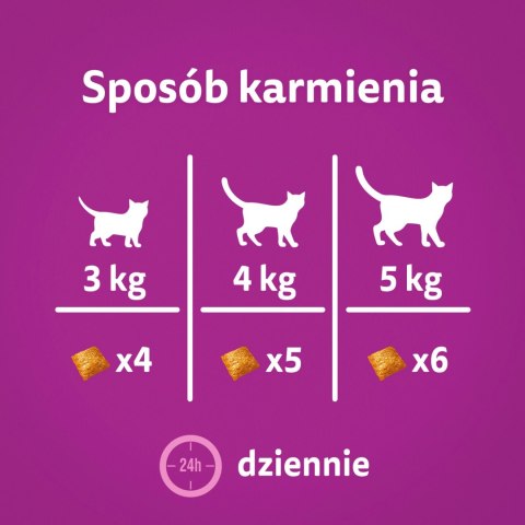 Whiskas Energia I Witalność Przysmak Dla Kota Z Kurczakiem 45g