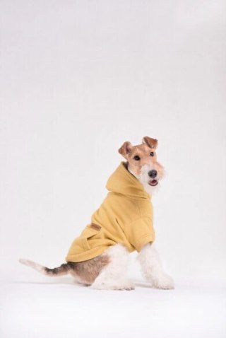 AMIPLAY Bluza Z Kapturem Texas Czerwona 35cm