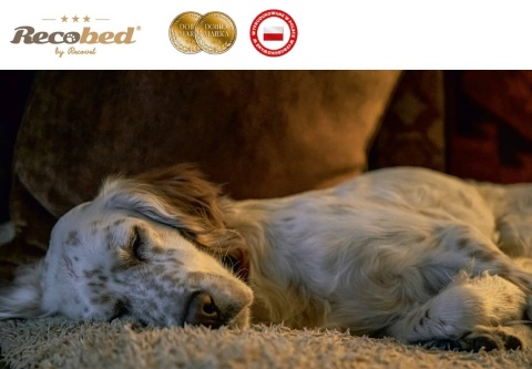 Budka Welurove zielona