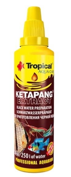 Tropical Ketapang Extract 30ml
