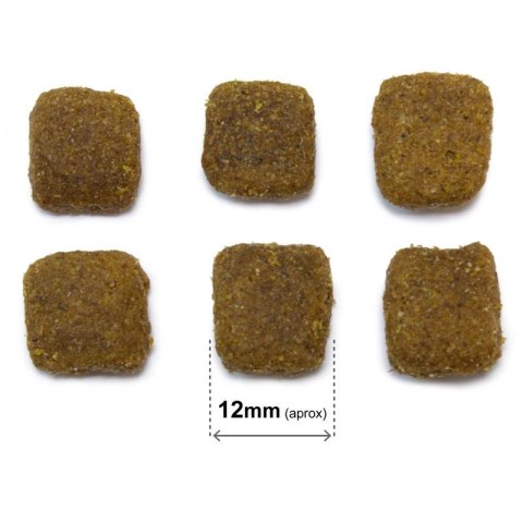 Arquivet Original Adult jagnięcina z ryżem 20kg