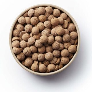 Deer Dog Jeleń z jeżynami 5 kg duże rasy sucha karma