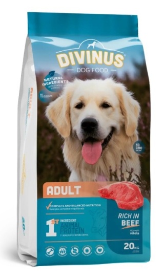 Divinus Adult dla psów dorosłych 20kg