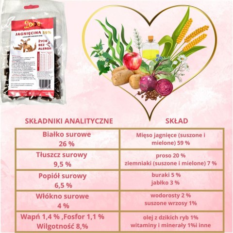 SUCHA KARMA DLA PSA 2Dog JAGNIĘCINA 100g ZIMNOTŁOCZONA HIPOALERGICZNA