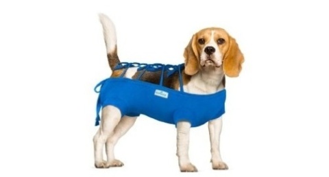 Ubranko ochronne róż