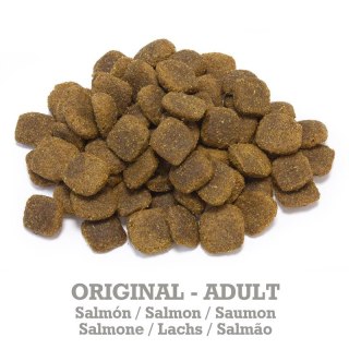 Arquivet Original Łosoś z ryżem 12kg