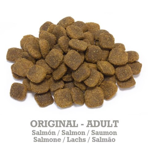 Arquivet Original Łosoś z ryżem 12kg