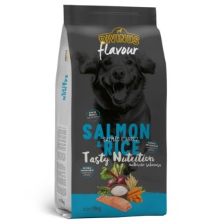 Divinus FLAVOUR DOG - łosoś z ryżem 18kg