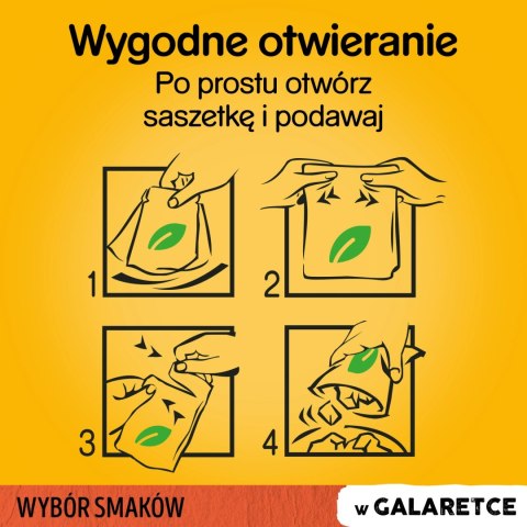 Pedigree Mokra Karma Dla Dorosłych Psów W Galaretce Z Wołowiną, Z Kurczakiem, Z Jagnięciną, Z Drobiem 12x100g