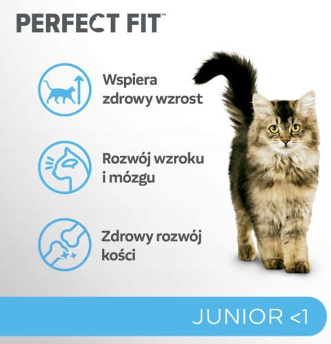 IttenFit Junior Kurczak 7 kg - pełnoporcjowa sucha karma dla kociąt