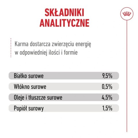 Royal Canin Senior Ageing 11+ — mokra karma w galaretce dla kotów starszych, 12 x 85 g