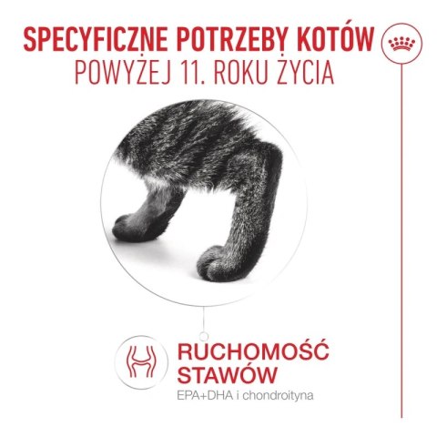 Royal Canin Senior Ageing 11+ — mokra karma w galaretce dla kotów starszych, 12 x 85 g