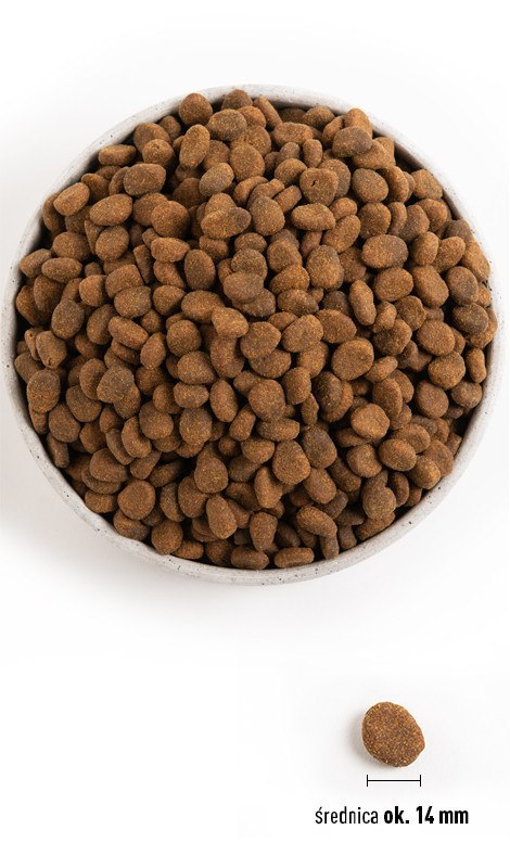 Tundra Select Dog 11,4 kg - biologicznie odpowiednia karma dla psów w każdym wieku
