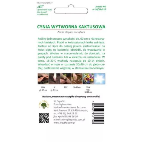 Cynia wytworna kaktusowa - mieszanka