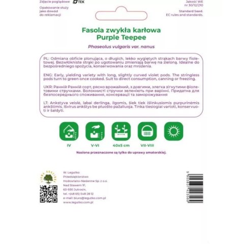 Fasola zwykła szparagowa karłowa fioletowostrąkowa Purple Teepee