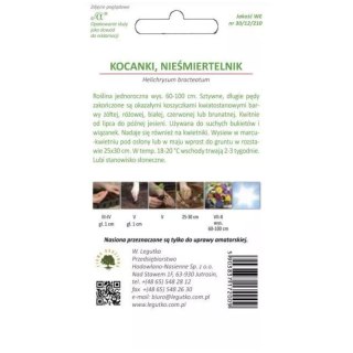 Kocanki wysokie (nieśmiertelnik) - mieszanka kolorów