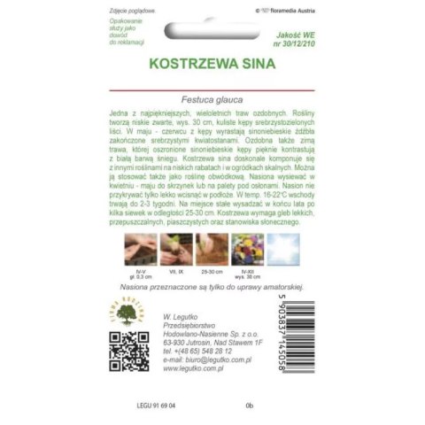 Kostrzewa sina - trawa ozdobna, srebrnoniebieska