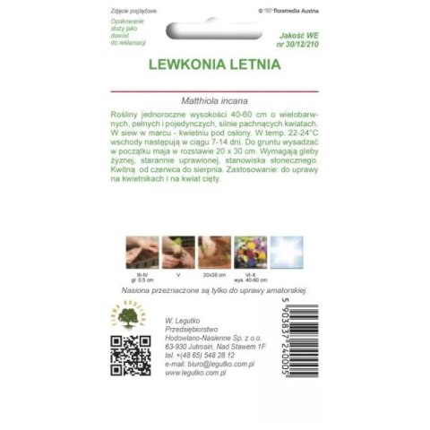 Lewkonia letnia - barwna mieszanka