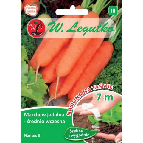 Marchew jadalna 'Nantes 3' (Nantejska) - średnio wczesna