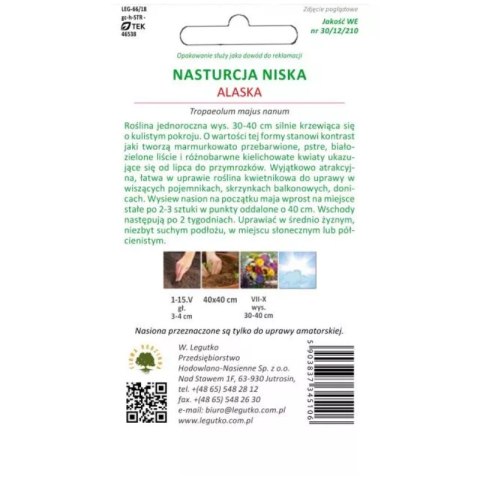 Nasturcja 'Alaska' - niska, o pstrych liściach, mieszanka kolorów