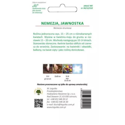 Nemezja Jawnutka - mieszanka kolorów, nasiona otarte