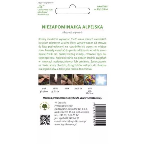Niezapominajka alpejska - odmiana niebieska