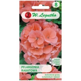 Pelargonia rabatowa z serii Gama F1 - łososiowa