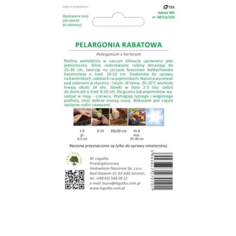 Pelargonia rabatowa z serii Gama F1 - łososiowa