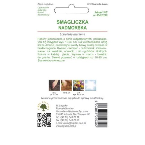 Smagliczka nadmorska - odmiana biała
