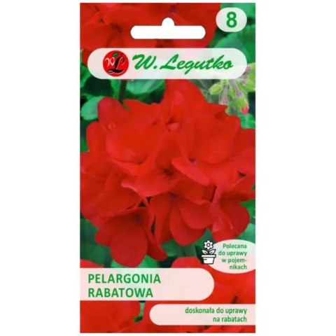 Pelargonia rabatowa Gama F1 - czerwona