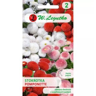 Stokrotka pospolita 'Pomponette' - mieszanka odmian