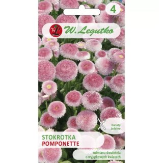 Stokrotka pospolita 'Pomponette' różowa