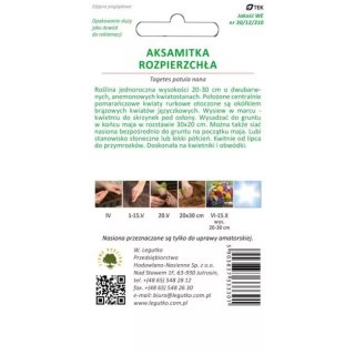Aksamitka rozpierzchła 'Orange Flame' - pomarańczowo-brązowa, 1 g
