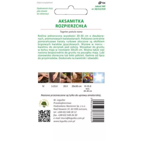 Aksamitka rozpierzchła 'Orange Flame' - pomarańczowo-brązowa, 1 g