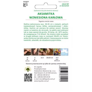 Aksamitka wzniesiona mieszanka karłowa