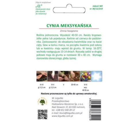 Cynia meksykańska mieszankowa