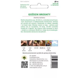 Goździk brodaty mieszankowy - kwiaty pojedyncze