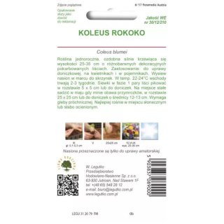 Koleus 'Rokoko' - mieszanka kolorów