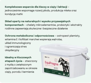 Lab-v EquiPregna Mieszanka paszowa uzupełniająca dla klaczy ciężarnych i karmiących, wspierająca przebieg ciąży, rozwój płodu