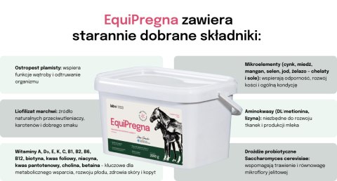 Lab-v EquiPregna Mieszanka paszowa uzupełniająca dla klaczy ciężarnych i karmiących, wspierająca przebieg ciąży, rozwój płodu