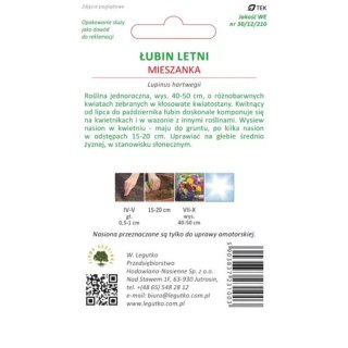Łubin letni - mieszanka kolorów