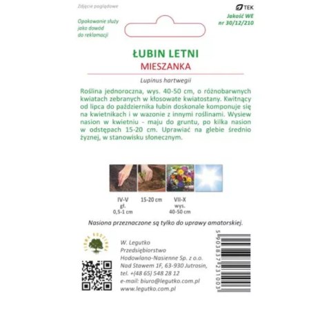 Łubin letni - mieszanka kolorów