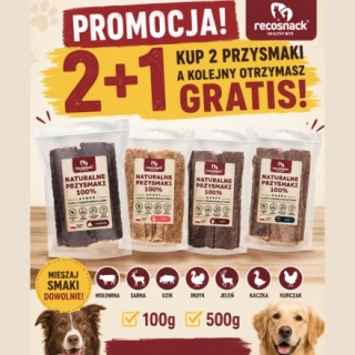 Recosnack MIĘSNE PASKI (12 cm) DZIK