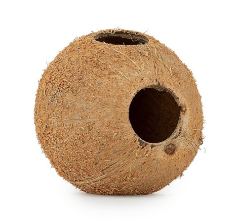 Skorupa kokosa Happet 1/1 nieszczotkowana 3 szt. Skorupa kokosa Happet 1/1 nieszczotkowana 3 szt.