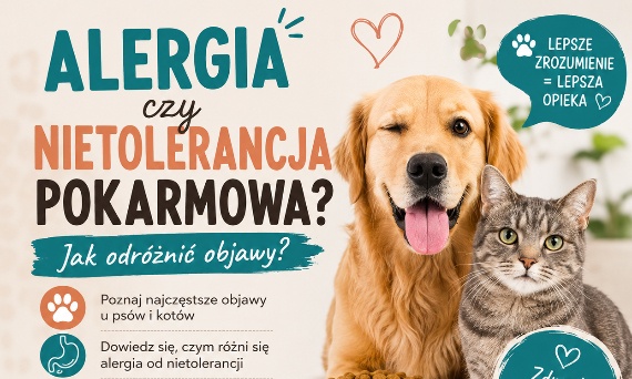 Alergia czy nietolerancja pokarmowa u psa i kota? Jak odróżnić objawy i pomóc swojemu pupilowi?