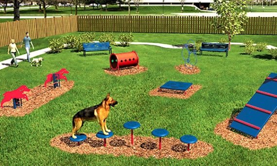 Psie parki – bezpieczna przestrzeń wolności dla czworonogów