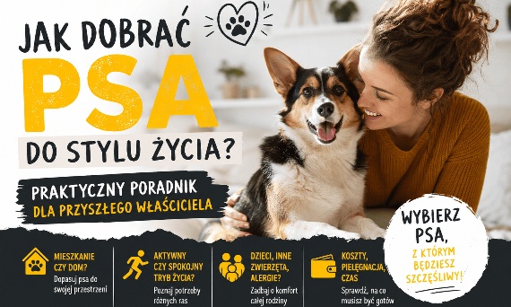 Jak dobrać psa do stylu życia? Praktyczny poradnik dla przyszłego właściciela